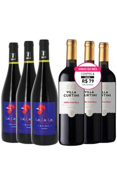 vinhos do mes - junho - 02 -1-